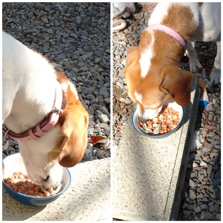 809a5faa 5aa8 4423 b09d 9e408943f133 1583977289405