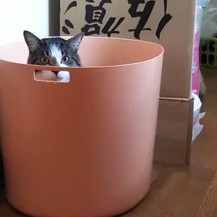 809a6235 aafe 4b98 b325 384e9026f438 1613803115103