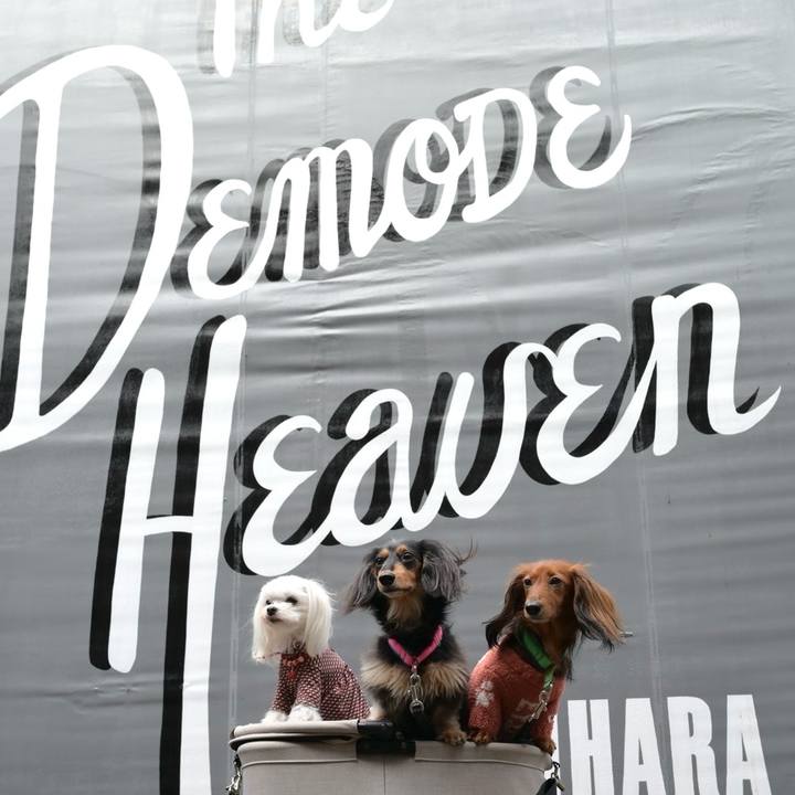 809ac40e 70ef 4d6e b6a1 b9d93c704eaa 1738668275411