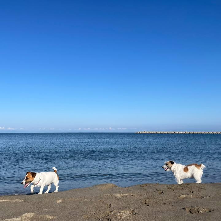 809ac44c bee3 48f0 90be a16f552af73f 1664494606146