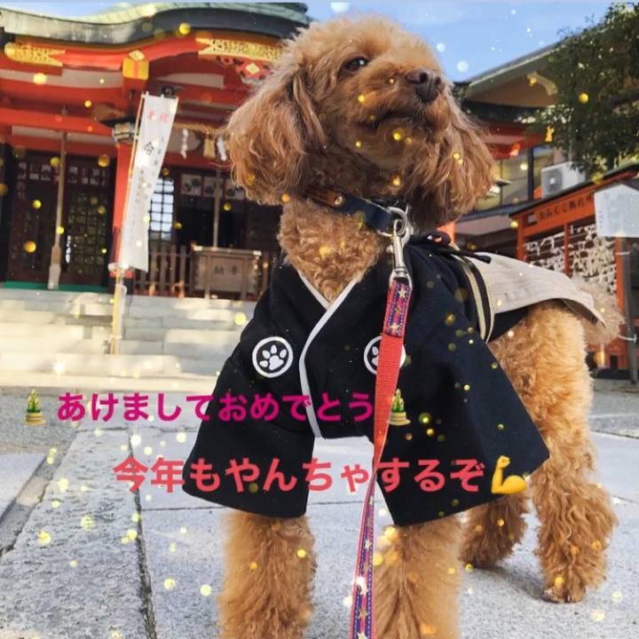 809ac5c4 3bb9 4f39 a12b e13e1e7179ae 1577838771865