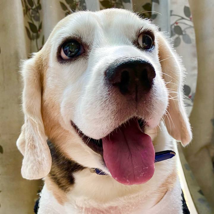 809b6462 c97c 4569 8e23 8224e67e8ece 1628052062884