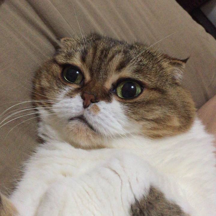 809b9ebc 4521 4722 8823 3b2710ca068b 1507848658346