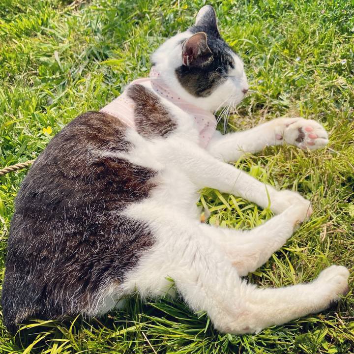 809ba735 66cb 4942 97cc 7269145c36a2 1619329708675