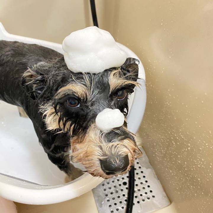 809befc4 4c04 4665 a7a9 83d387d49c5f 1608989741922