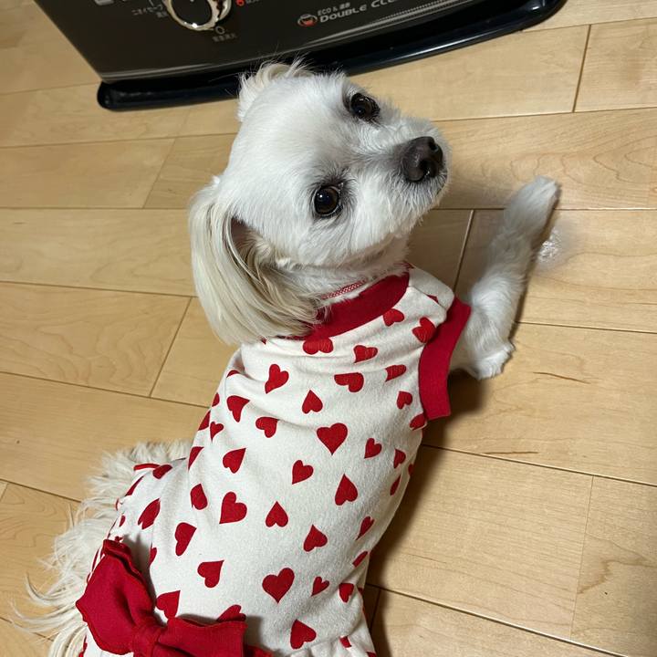 809c0ac2 ec56 4d37 b144 72a7f902bcce 1679125057727