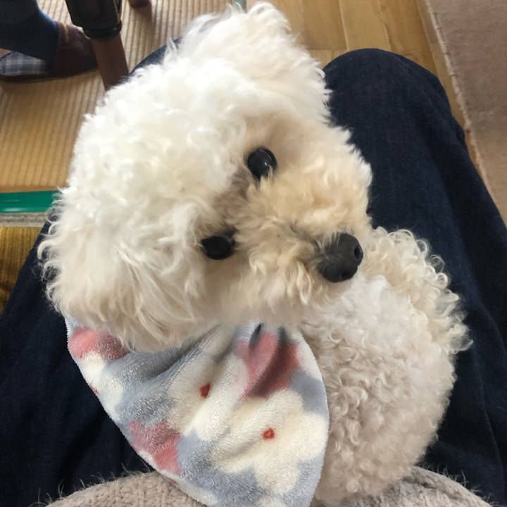 809c2abf 4172 4449 a98e 42f9ee720074 1708929776497