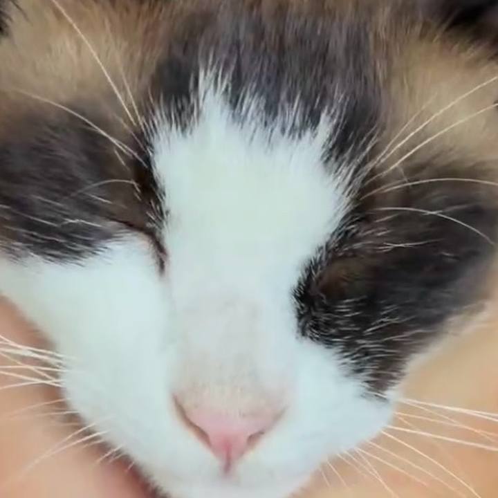 809c45bd 1367 48e7 85b1 3c772109f47c 1752029755087