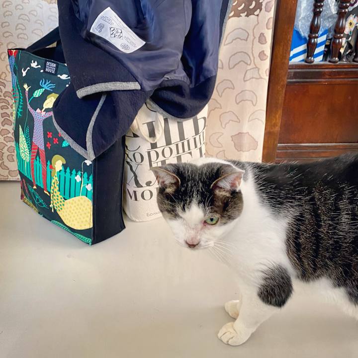 809c478e 0b95 45f8 8e0a 0df540390dad 1640082270550