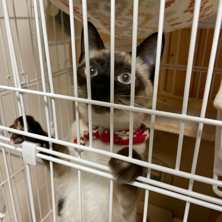 809c6a1b 53e1 4c20 a2bf 82bf19a0c60e 1708370913965