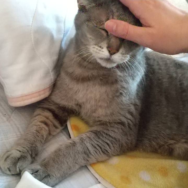 809c8860 01aa 47cd 891a 1e44d4d442fd 1652829922775