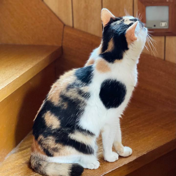 809cb16a 396b 4060 a732 740942a0b67d 1628822509126