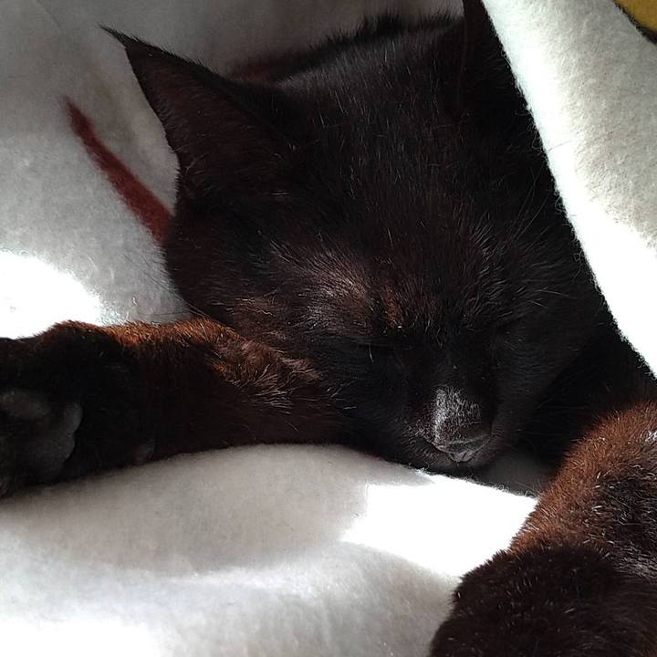 809ce7d8 681d 4763 b13c f45bee5cccde 1651647525390