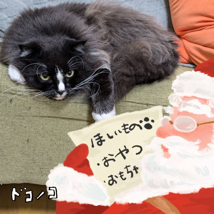 809cf772 f135 4e68 9ee5 f3edb54b637f 1730291042063