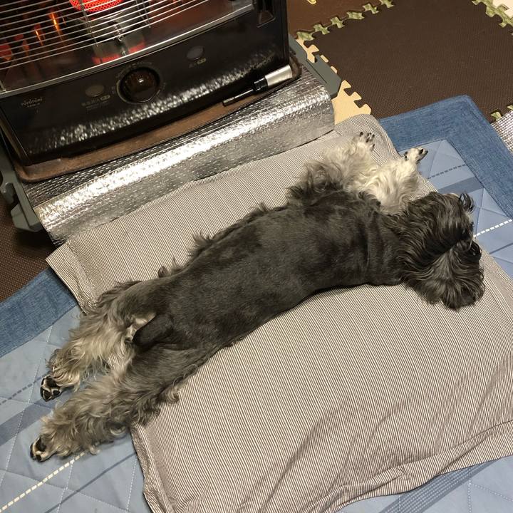 809d1eb9 4680 42ac 8675 fe87e448953a 1700815280047