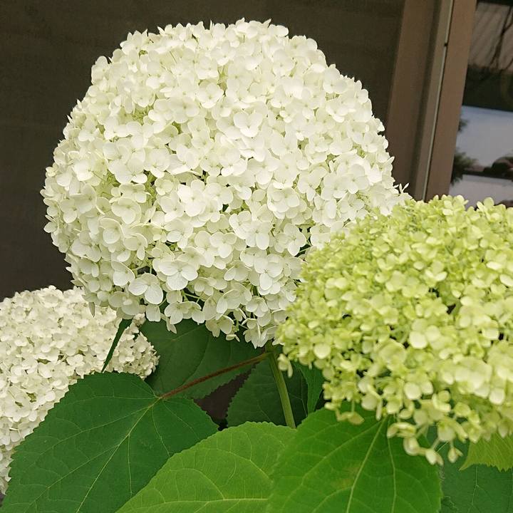 809d2114 9a40 461a 9849 b73e86e4fc8a 1622947444359