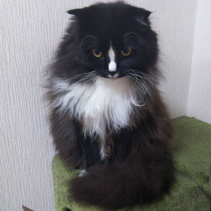 809d2f73 1618 4b7d b1c3 0cb1c7c72d6f 1661246255713