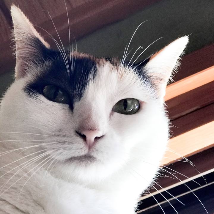 809d308f f144 42ff af7f dfa73f6e2f4e 1531575876810