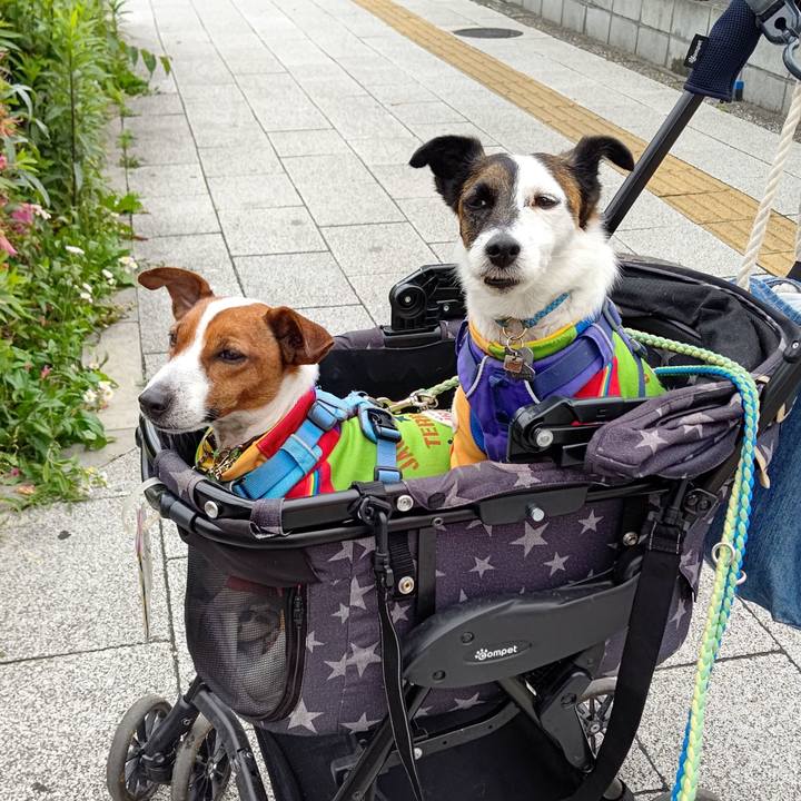 809d3c5e cfe6 4c12 aeab 314e42134ed4 1652563867544