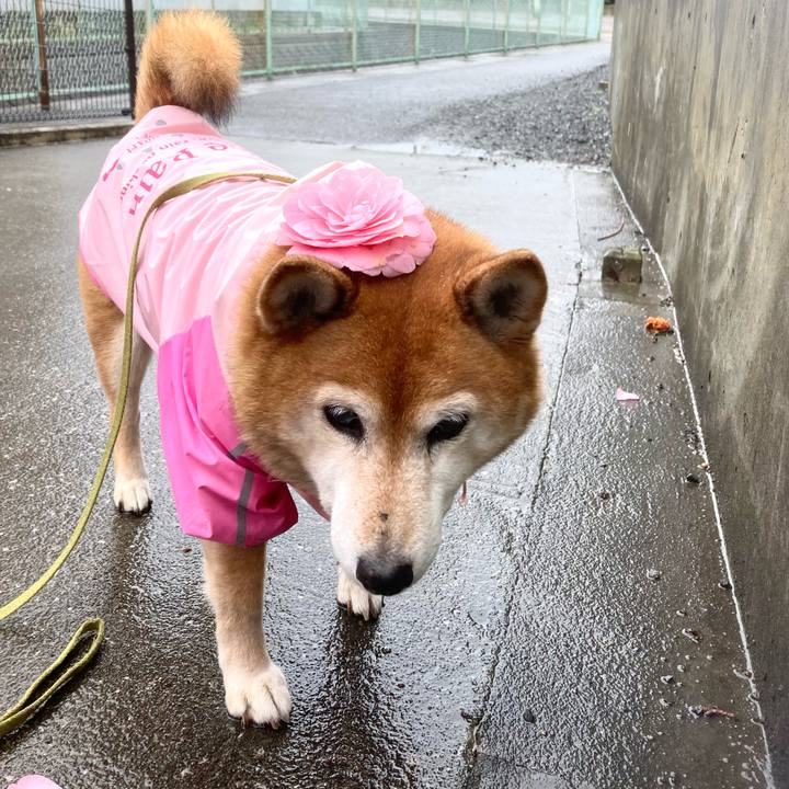 809d3e65 a7d3 498f a539 7bc5e2b10bfc 1679105337910