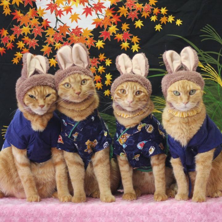 809d3f1b c817 49b7 b1d7 3beae187f06a 1694401556538