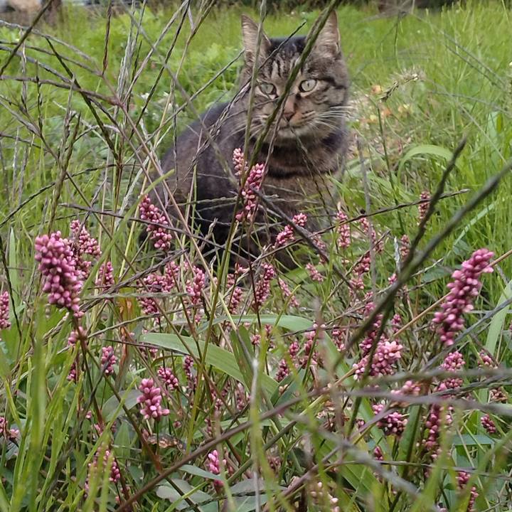 809d4078 80a7 4142 98d2 3c341a71d1d4 1666681924073