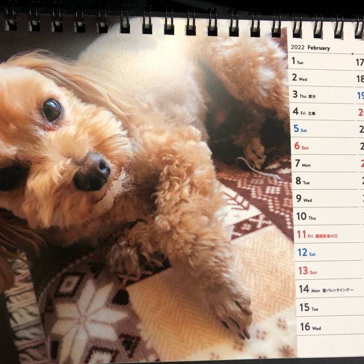 809d7c26 afea 4448 84c4 33682a23ecb2 1643762352078