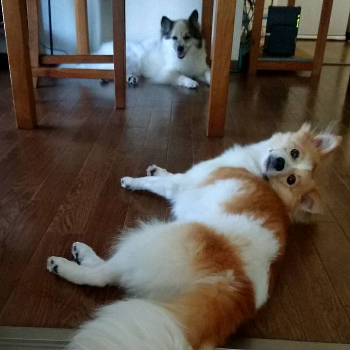 809daa28 b2e2 4289 9a1f 68e71e1aaefe 1533644544190