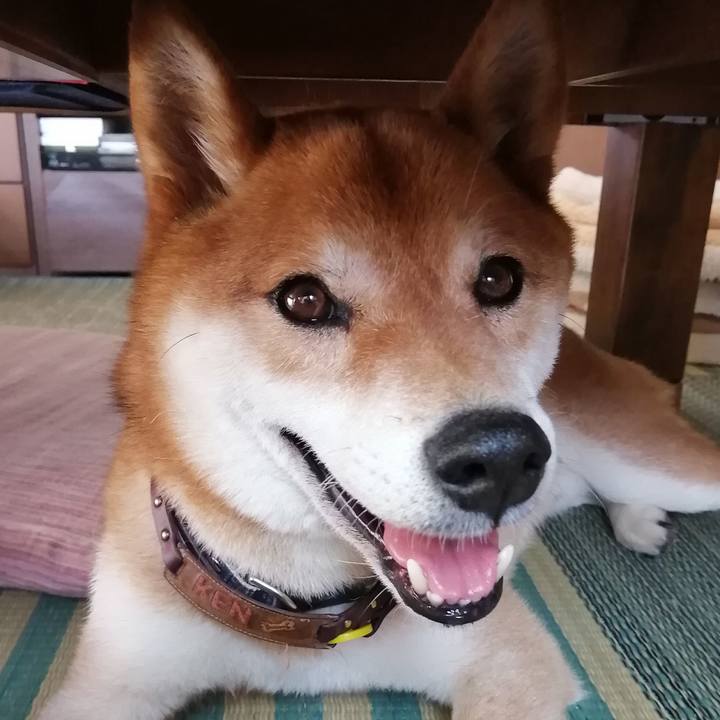 809dd4e9 00c3 4d6a 9bf2 561cdc4fa3ca 1591072305450