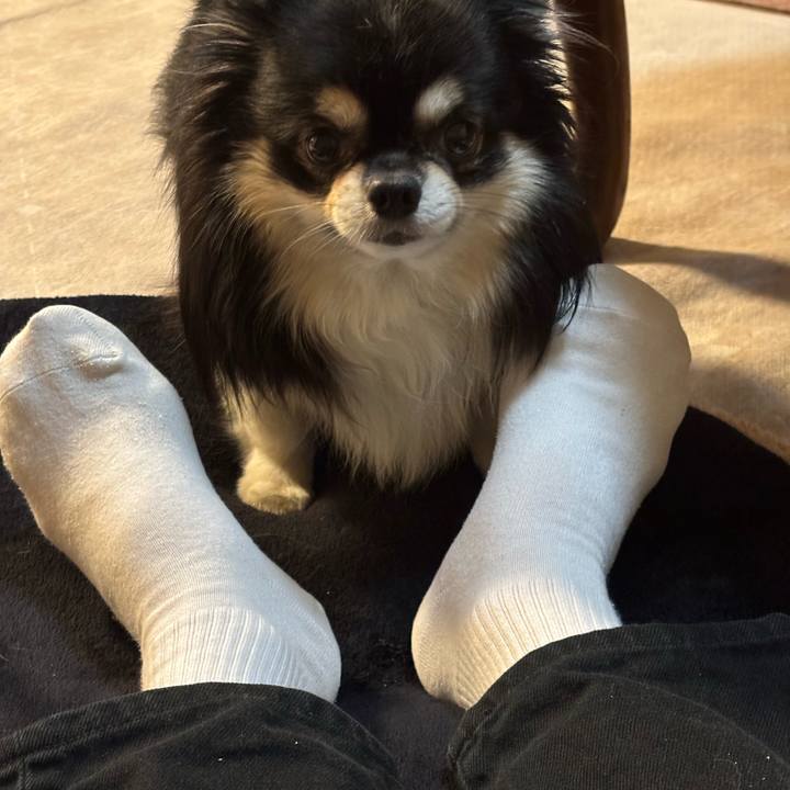 809e271e 01c2 4dfa 8e57 05f114c4c903 1761045016069