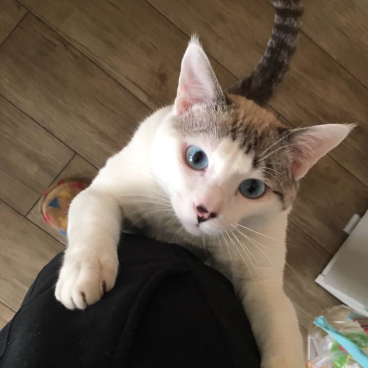 809e6860 e845 42da ad7c f708e229a221 1549503126095