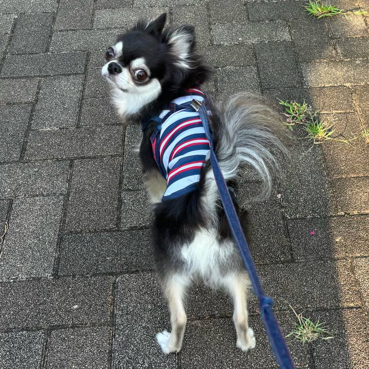 809ea8bd 751d 461f 92ee 23a09881b3ec 1722785268257