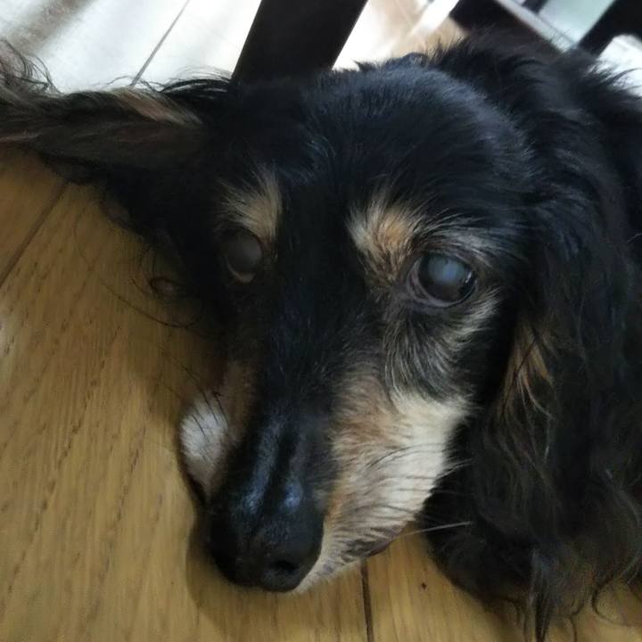 809eaf2b 5dd5 4d8d 9132 f7da5b36ca46 1625793570129