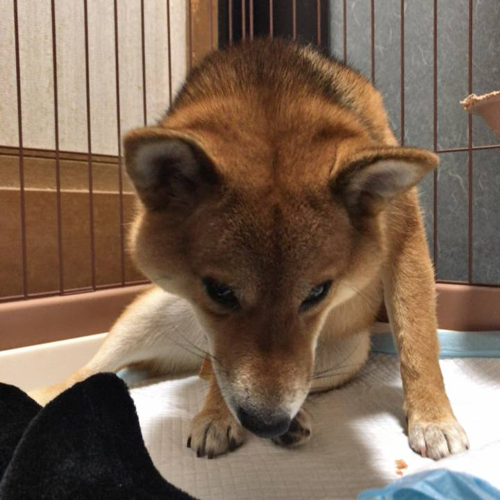 809ed541 0593 4641 8bcb 2596bb5dcd4f 1542023291620