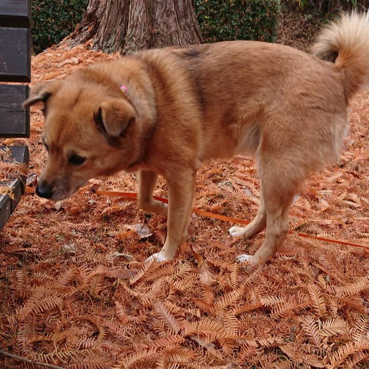 809f16be 9cb6 4094 8a5d 54c0bbdb672f 1638706339374