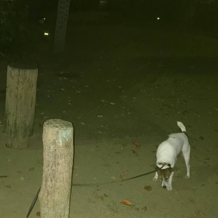 809f4cb6 47e1 468b 92df df6dd7467e30 1540040697078