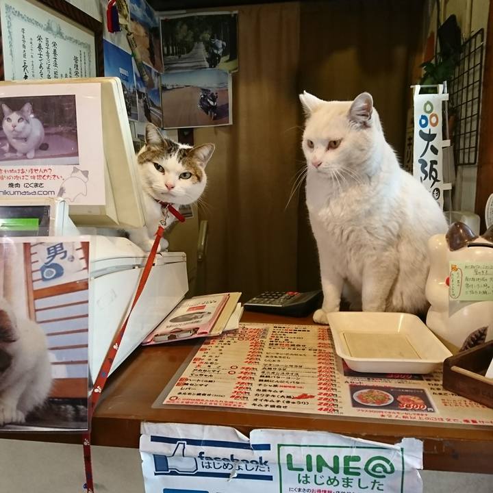 809f6ac6 4317 4bd2 b9b0 59ec6e1b9e64 1515813305267