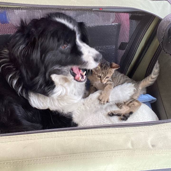 809fb0c3 b73b 4dc0 8421 3355ca6cae24 1623649143406