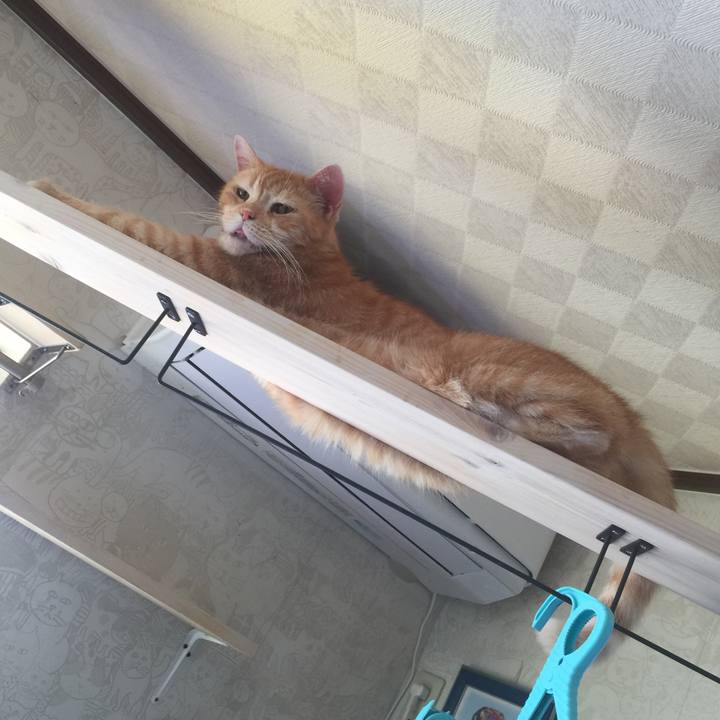 809feafa db9d 4802 a283 9e4190e813a7 1569203789111