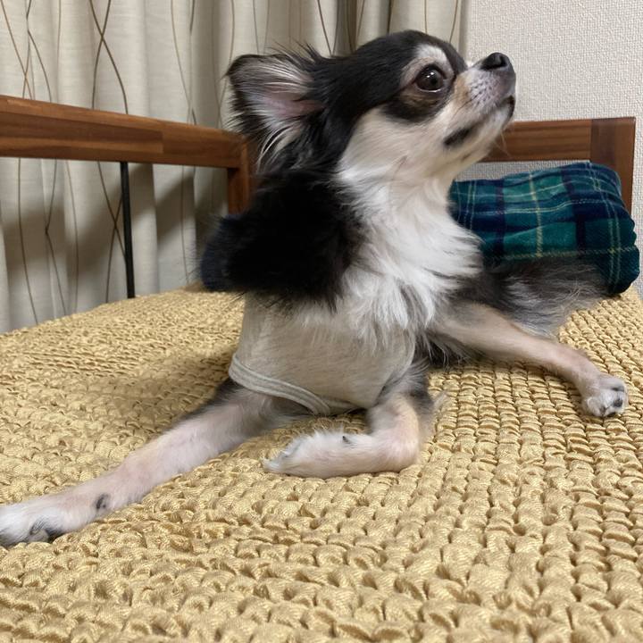 80a00c7b 2d72 4cd3 9285 288fbe501ad6 1651930847216