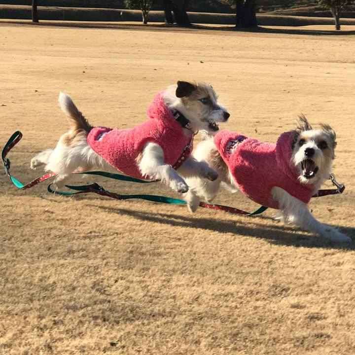 80a00f26 821c 4f89 8163 6bf34d11de3a 1767257428734