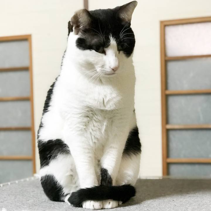 80a01456 46d3 4750 9ee4 e6d107bf5f55 1521122633096