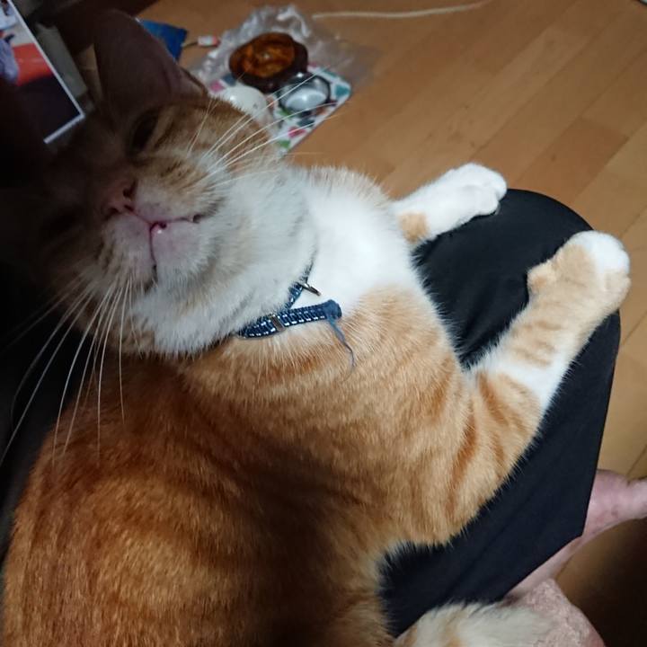 80a03959 8153 4c72 8729 73f99e6c053f 1599942866471