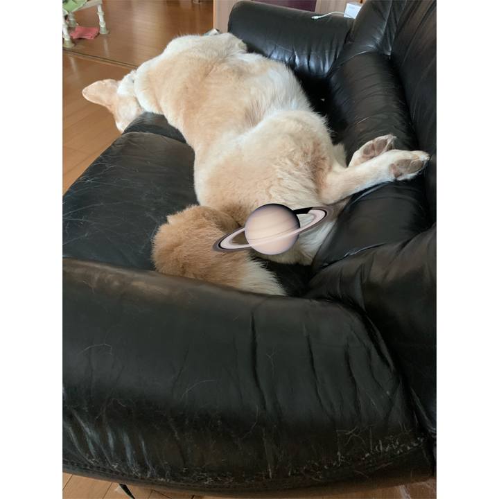 80a0635b 4ff8 4a0f 8620 2be57a5f2a1e 1624522600097