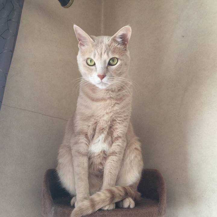 80a08217 8e74 4962 8b6b 77b5c45dd36d 1555983782222