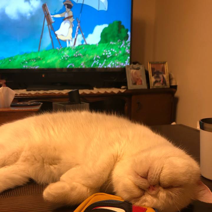 80a0941d 088b 4ebe a1ce 408bab63a56e 1630107377000