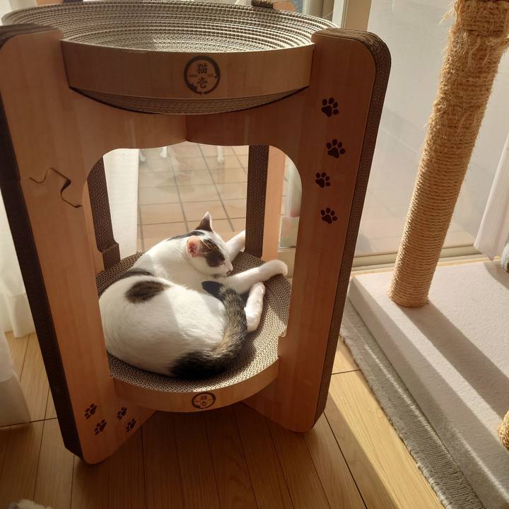 80a0a4de 288d 47f6 89f1 569f5ef6dc3d 1698038749115