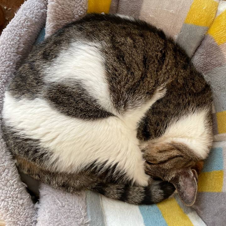 80a0adbe 72c0 42a0 bb11 42b83c027736 1614043317991