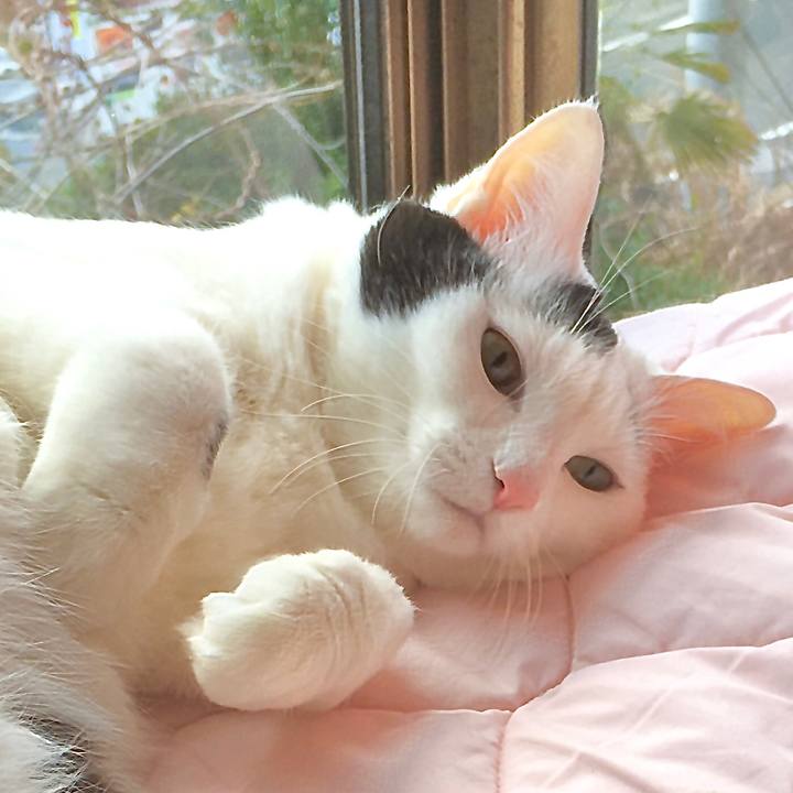 80a0b5fe 2be5 4071 a49f d28d70f9fc94 1584600193909