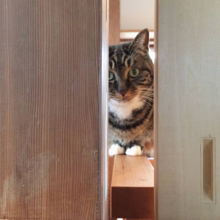 80a0d23b 3bc9 44ca be19 4cfd752de4ed 1547940506077